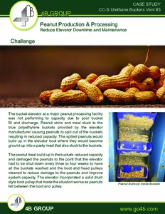 Case Study - Peanut Elevator - Reduction of Downtime & Maintenance - with CC-S Buckets