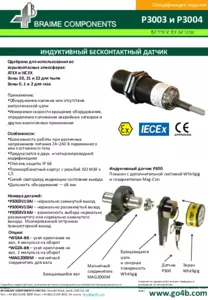 Спецификация изделия - P3003-P3004
