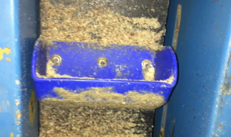 peanut build-up inside elevator buckets